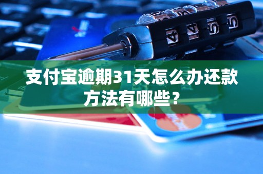 支付宝逾期31天怎么办还款方法有哪些？