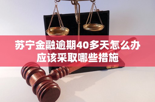 苏宁金融逾期40多天怎么办应该采取哪些措施