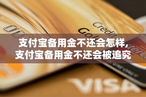 支付宝备用金不还会怎样,支付宝备用金不还会被追究责任吗