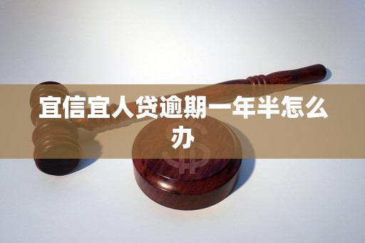 宜信宜人贷逾期一年半怎么办