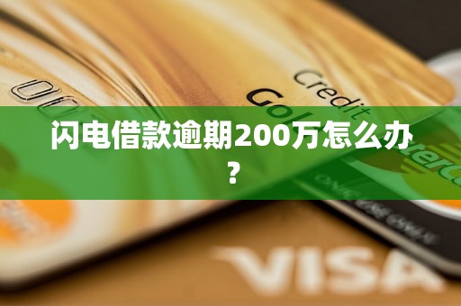 闪电借款逾期200万怎么办？