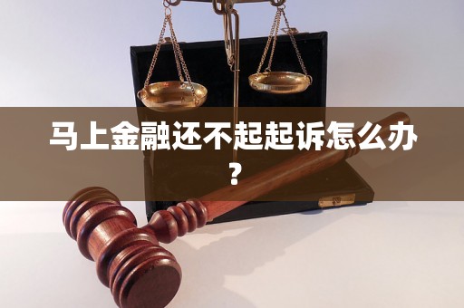 马上金融还不起起诉怎么办？