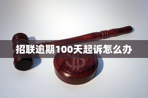 招联逾期100天起诉怎么办