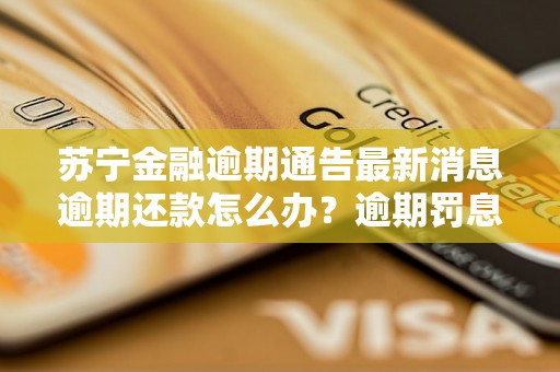 苏宁金融逾期通告最新消息逾期还款怎么办？逾期罚息费用详解