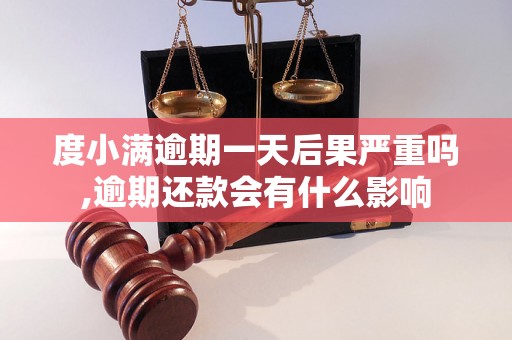 度小满逾期一天后果严重吗,逾期还款会有什么影响