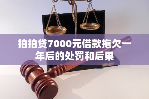 拍拍贷7000元借款拖欠一年后的处罚和后果