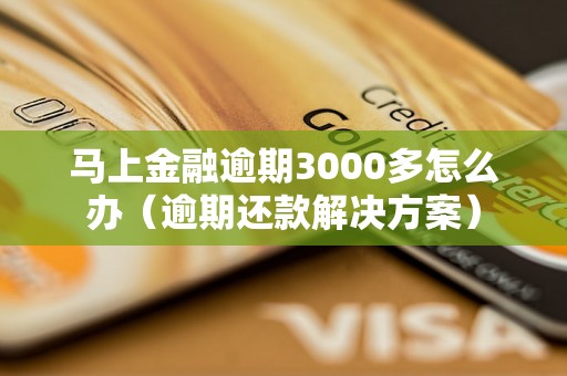 马上金融逾期3000多怎么办（逾期还款解决方案）