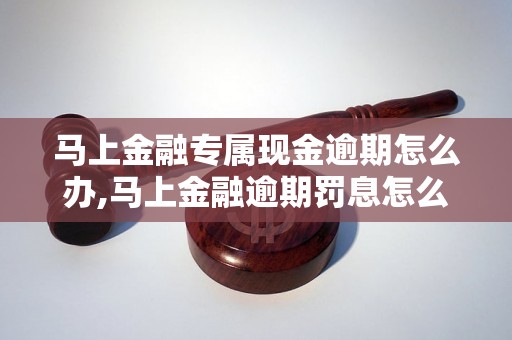 马上金融专属现金逾期怎么办,马上金融逾期罚息怎么计算