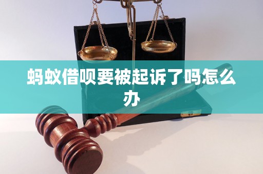 蚂蚁借呗要被起诉了吗怎么办