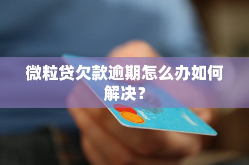 微粒贷欠款逾期怎么办如何解决？