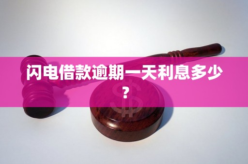 闪电借款逾期一天利息多少？