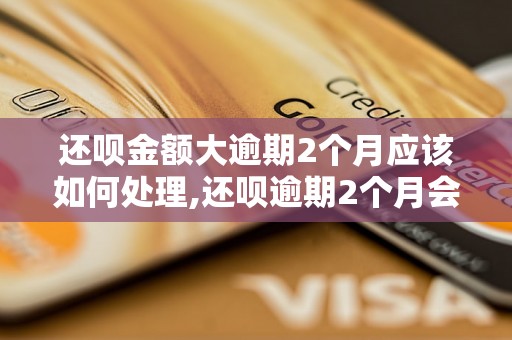 还呗金额大逾期2个月应该如何处理,还呗逾期2个月会有什么后果