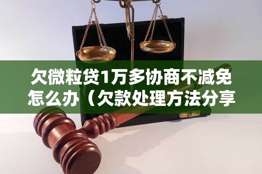 欠微粒贷1万多协商不减免怎么办（欠款处理方法分享）