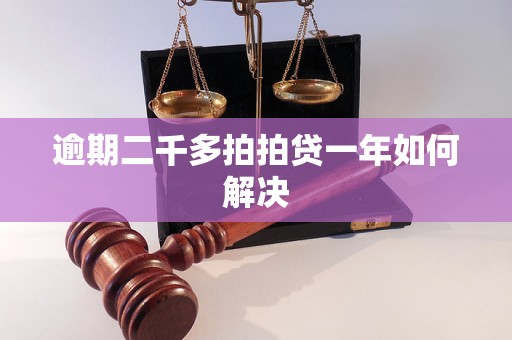 逾期二千多拍拍贷一年如何解决