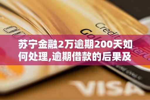 苏宁金融2万逾期200天如何处理,逾期借款的后果及解决方法