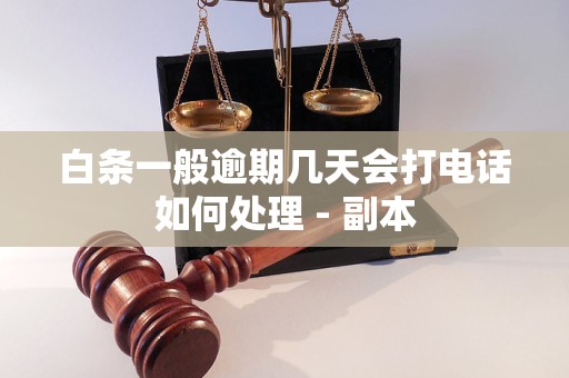 白条一般逾期几天会打电话如何处理 - 副本