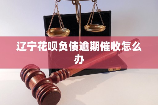 辽宁花呗负债逾期催收怎么办