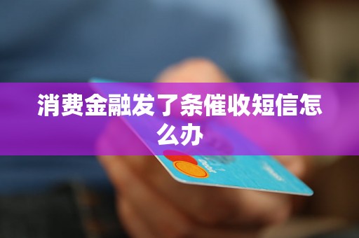 消费金融发了条催收短信怎么办