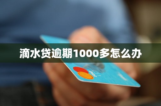 滴水贷逾期1000多怎么办