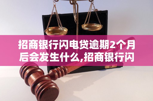 招商银行闪电贷逾期2个月后会发生什么,招商银行闪电贷逾期后的处理办法