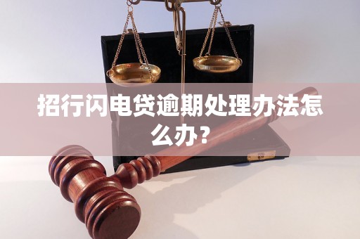 招行闪电贷逾期处理办法怎么办？