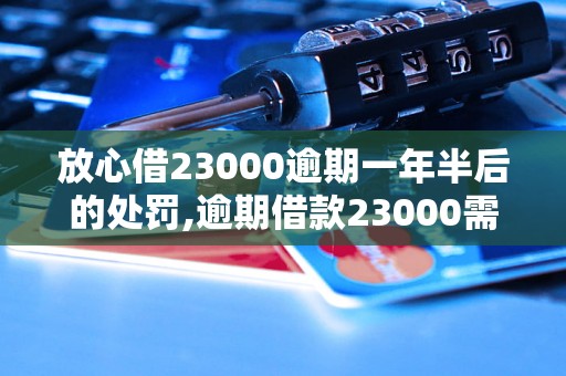 放心借23000逾期一年半后的处罚,逾期借款23000需要还多少钱