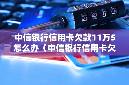 中信银行信用卡欠款11万5怎么办（中信银行信用卡欠款处理方法）