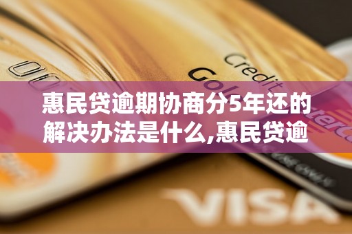 惠民贷逾期协商分5年还的解决办法是什么,惠民贷逾期协商还款方案详解