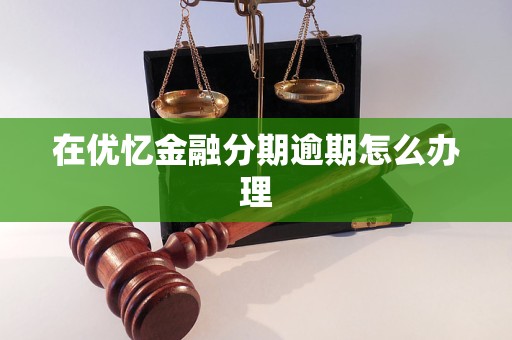 在优忆金融分期逾期怎么办理