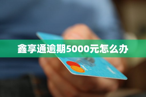 鑫享通逾期5000元怎么办