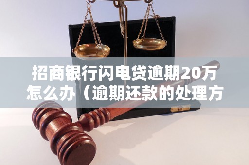 招商银行闪电贷逾期20万怎么办（逾期还款的处理方式）