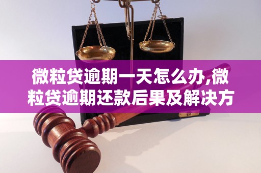 微粒贷逾期一天怎么办,微粒贷逾期还款后果及解决方法