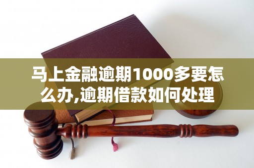 马上金融逾期1000多要怎么办,逾期借款如何处理