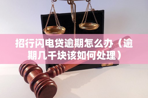 招行闪电贷逾期怎么办（逾期几千块该如何处理）