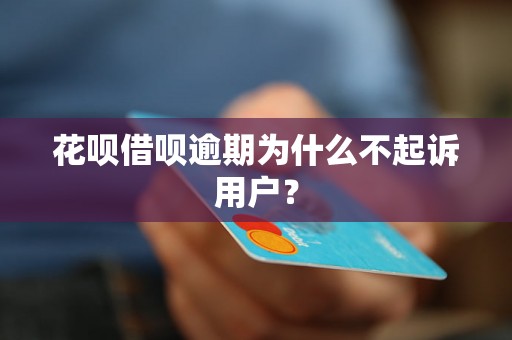 花呗借呗逾期为什么不起诉用户？