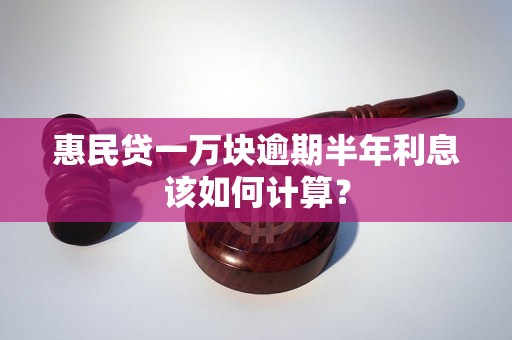 惠民贷一万块逾期半年利息该如何计算？