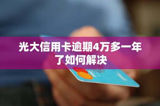 光大信用卡逾期4万多一年了如何解决