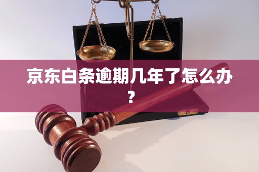 京东白条逾期几年了怎么办？