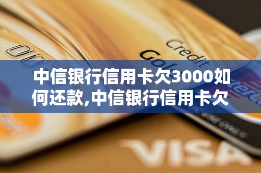 中信银行信用卡欠3000如何还款,中信银行信用卡欠款如何催收