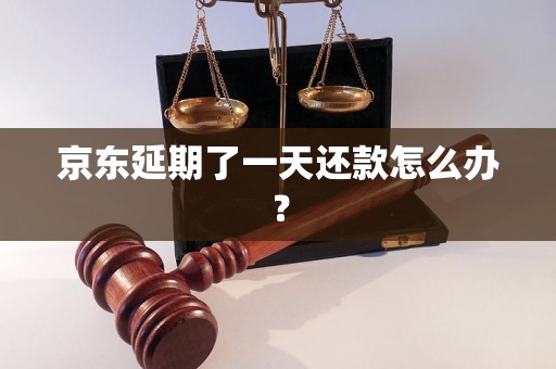 京东延期了一天还款怎么办？