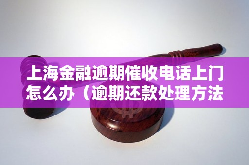 上海金融逾期催收电话上门怎么办（逾期还款处理方法详解）