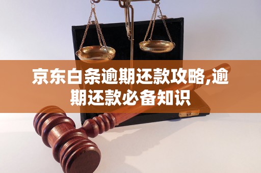 京东白条逾期还款攻略,逾期还款必备知识