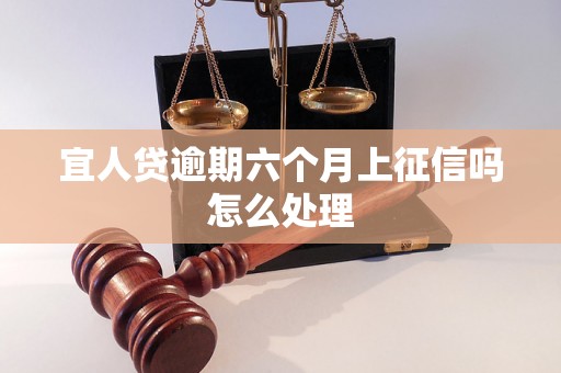 宜人贷逾期六个月上征信吗怎么处理