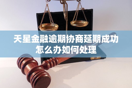 天星金融逾期协商延期成功怎么办如何处理