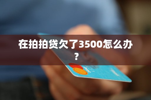 在拍拍贷欠了3500怎么办？