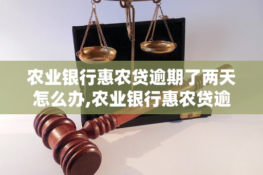 农业银行惠农贷逾期了两天怎么办,农业银行惠农贷逾期还款后果