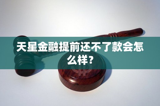 天星金融提前还不了款会怎么样？