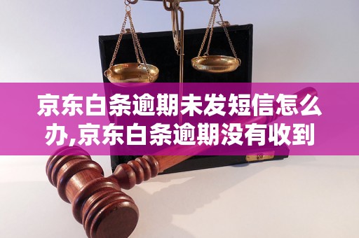 京东白条逾期未发短信怎么办,京东白条逾期没有收到短信怎么处理