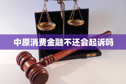 中原消费金融不还会起诉吗