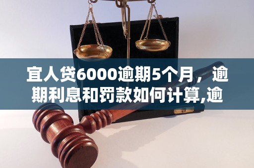 宜人贷6000逾期5个月，逾期利息和罚款如何计算,逾期还款后对个人信用的影响